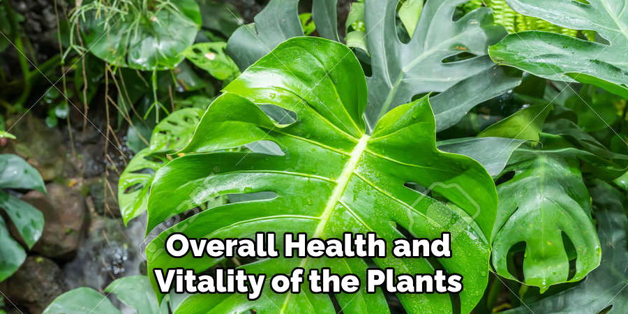 Overall Health and Vitality of the Plants