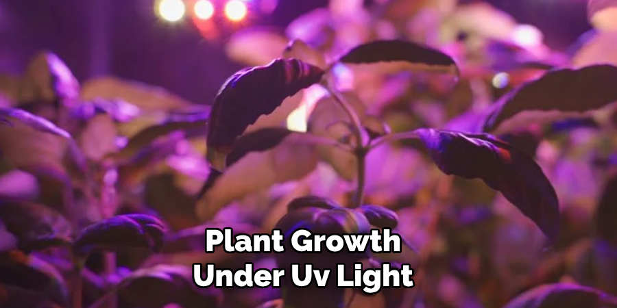 Plant Growth Under Uv Light