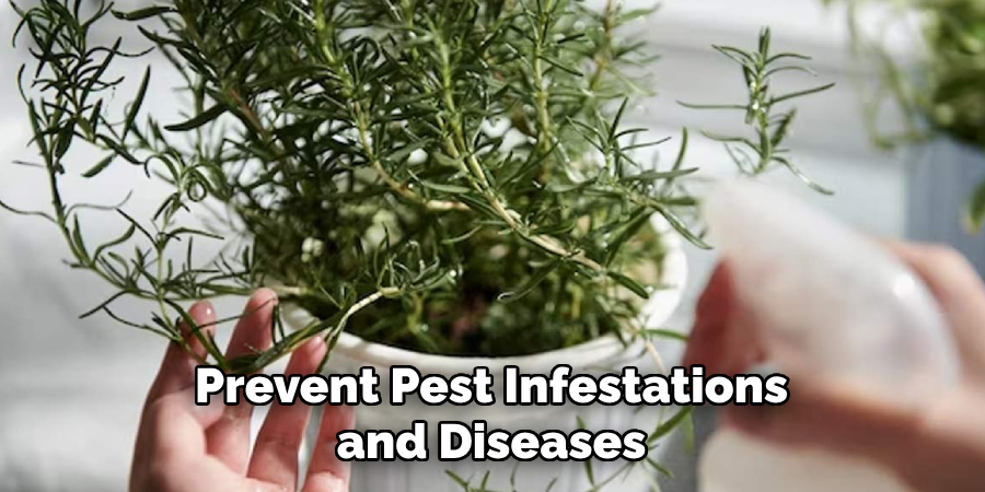 Prevent Pest Infestations and Diseases