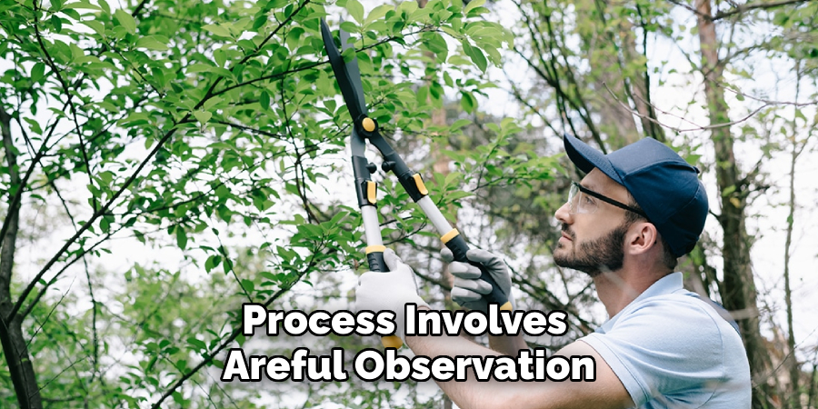 Process Involves 
Areful Observation