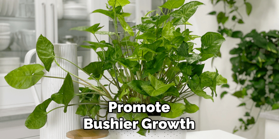 Promote Bushier Growth