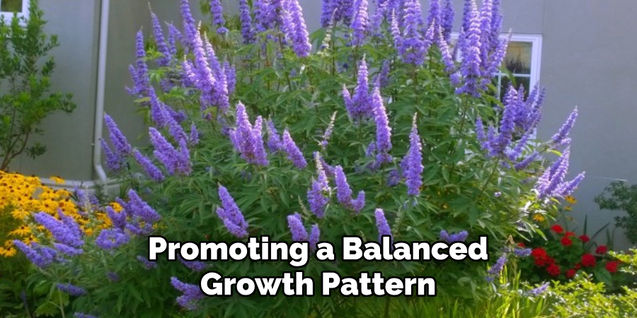 Promoting a Balanced Growth Pattern