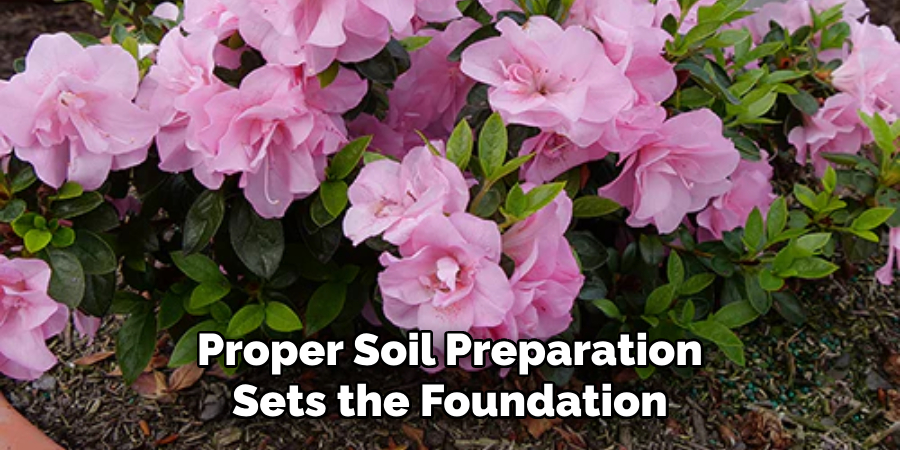 Proper Soil Preparation Sets the Foundation
