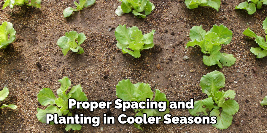 Proper Spacing and Planting in Cooler Seasons