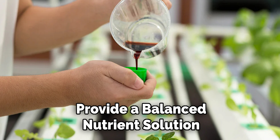 Provide a Balanced Nutrient Solution