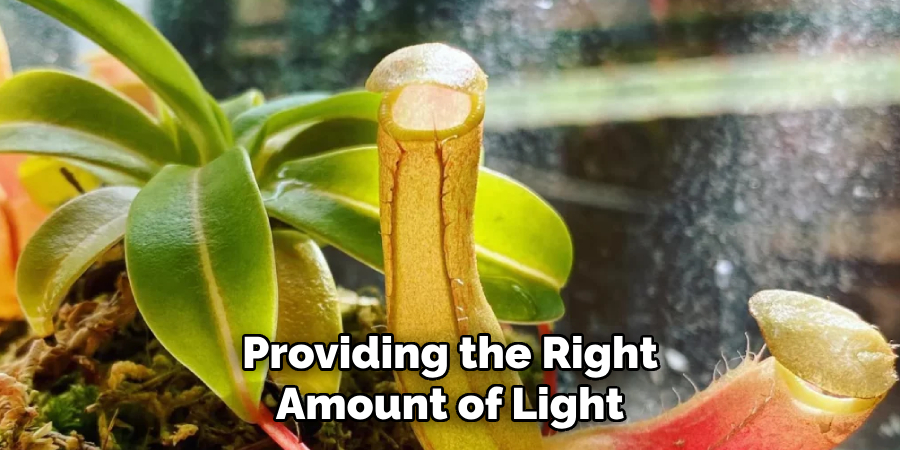 Providing the Right Amount of Light