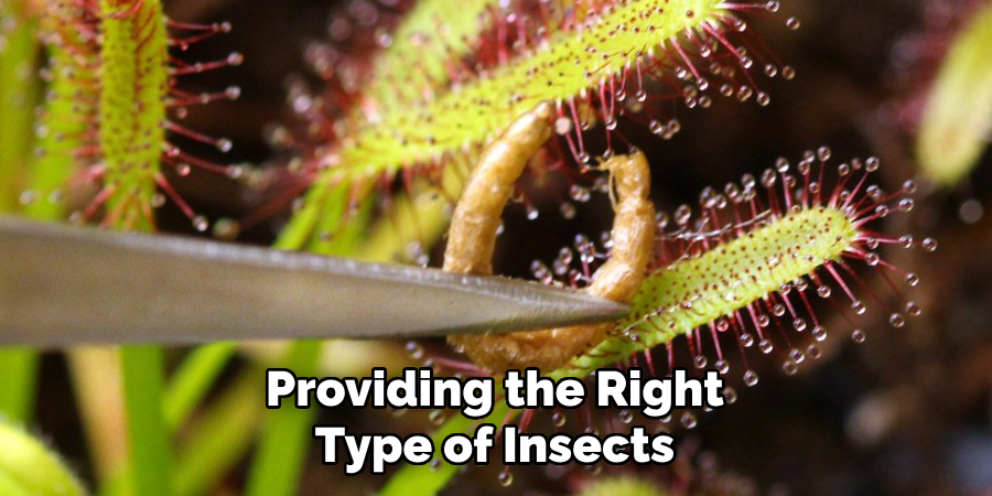 Providing the Right Type of Insects