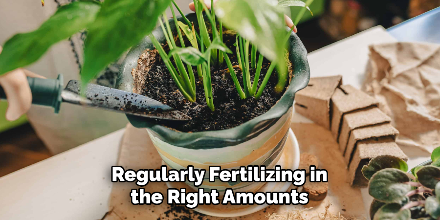 Regularly Fertilizing in the Right Amounts