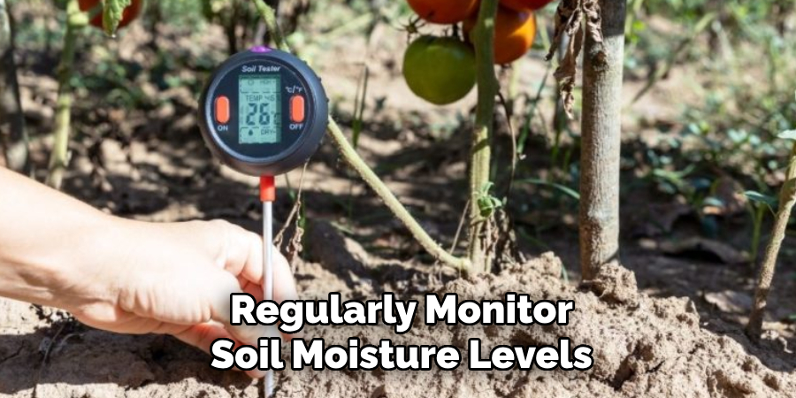 Regularly Monitor Soil Moisture Levels