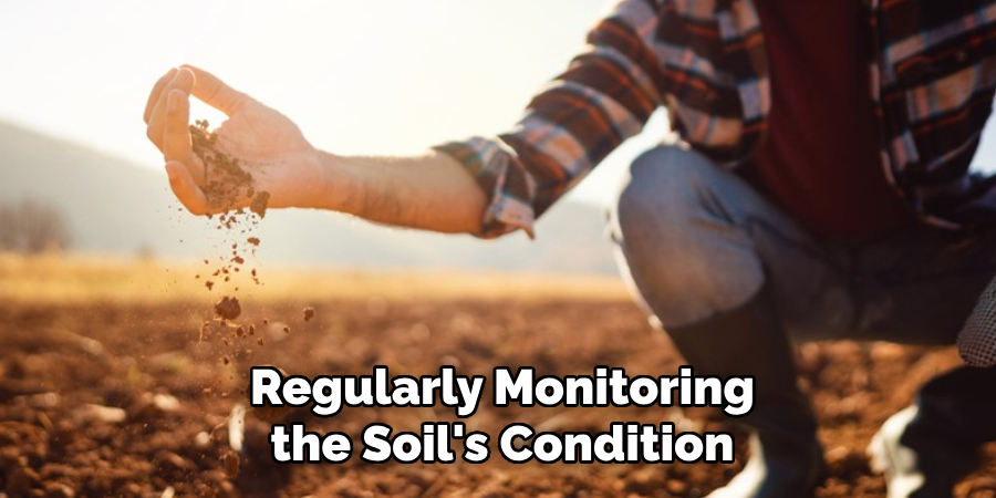 Regularly Monitoring the Soil's Condition