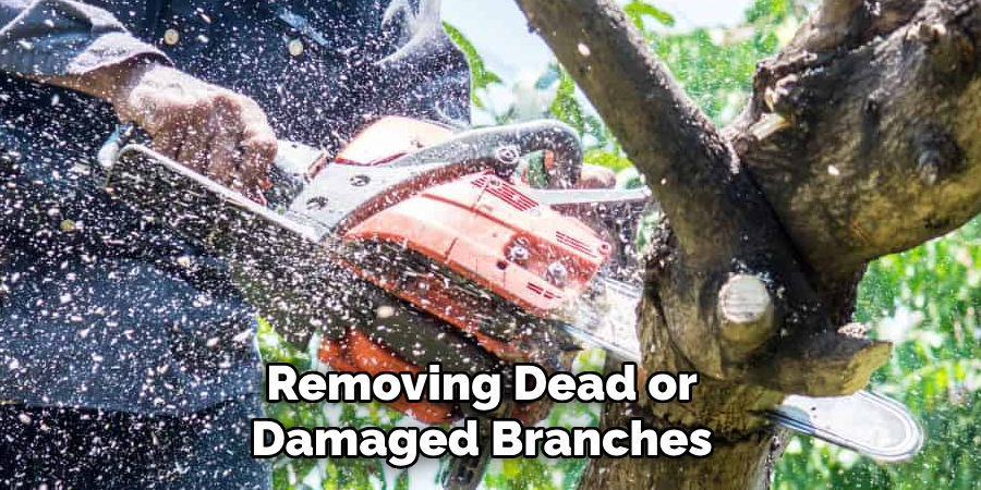 Removing Dead or Damaged Branches