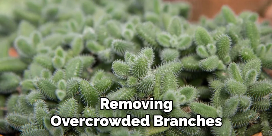 Removing Overcrowded Branches