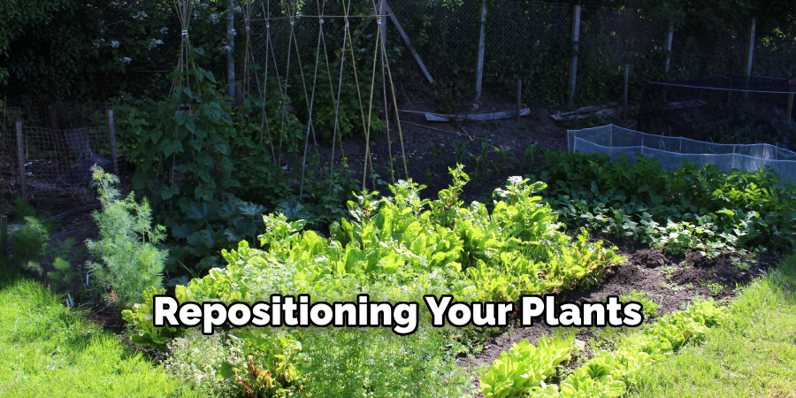 Repositioning Your Plants