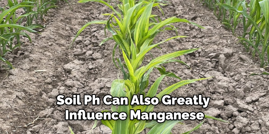 Soil Ph Can Also Greatly Influence Manganese