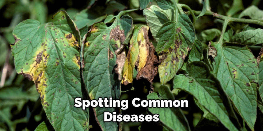 Spotting Common Diseases
