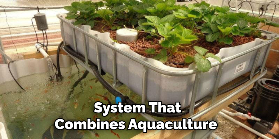  System That
Combines Aquaculture