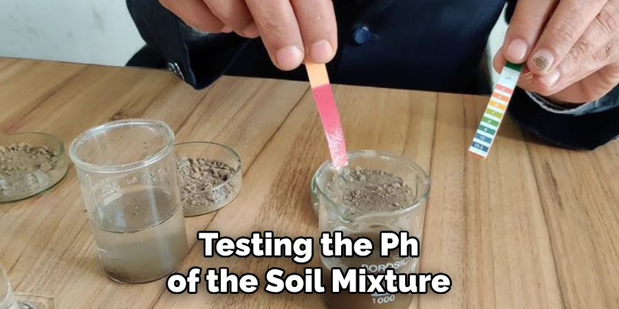 Testing the Ph of the Soil Mixture