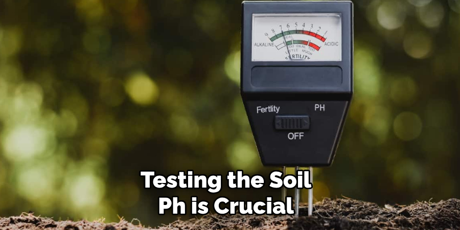 Testing the Soil Ph is Crucial