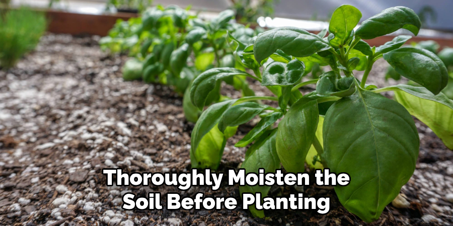 Thoroughly Moisten the Soil Before Planting