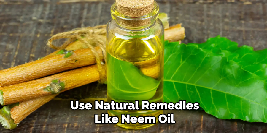 Use Natural Remedies
Like Neem Oil
