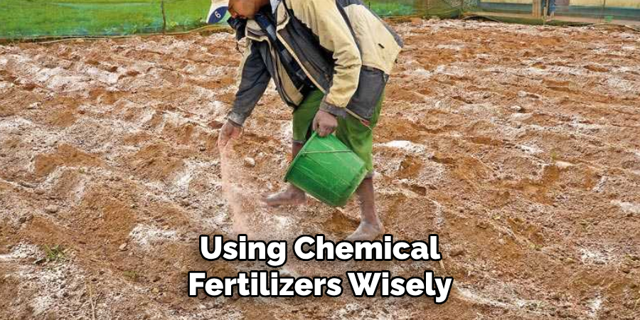Using Chemical Fertilizers Wisely