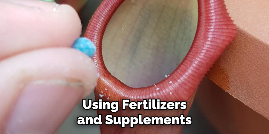 Using Fertilizers and Supplements