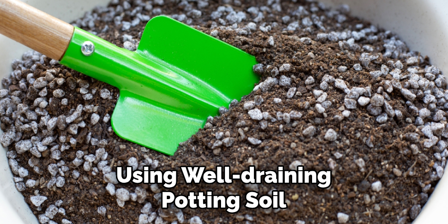 Using Well-draining Potting Soil