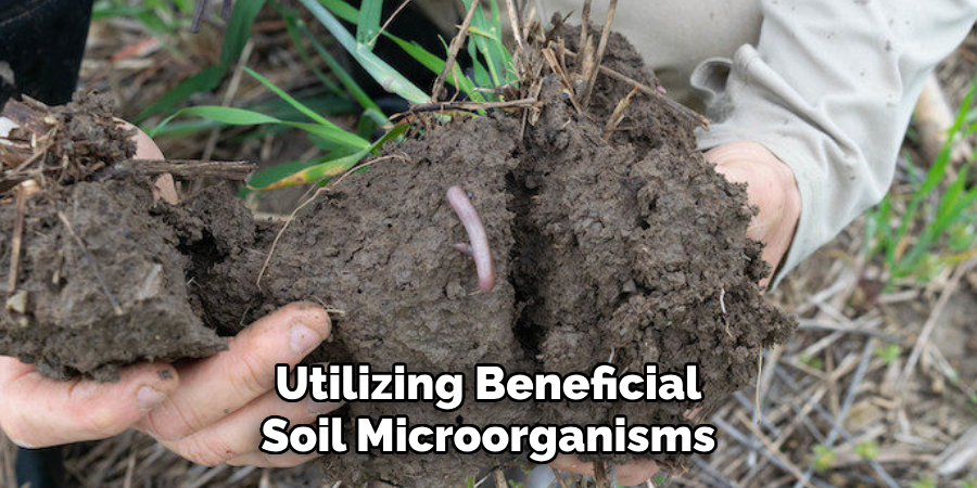 Utilizing Beneficial Soil Microorganisms