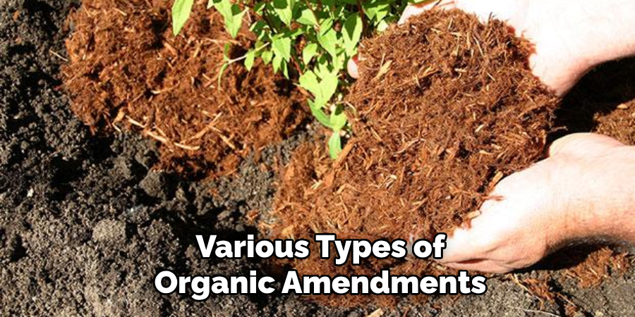 Various Types of Organic Amendments