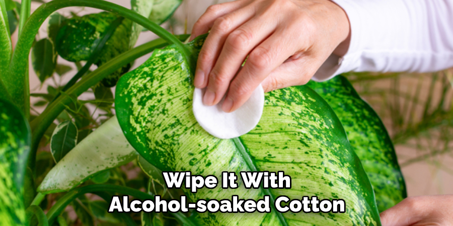 Wipe It With Alcohol-soaked Cotton