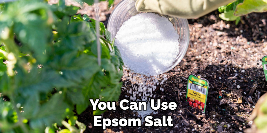 You Can Use Epsom Salt
