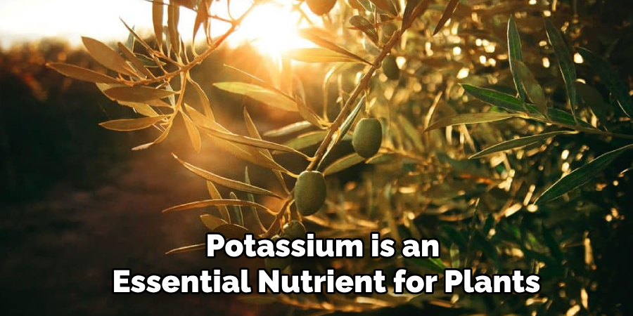 Potassium is an Essential Nutrient for Plants