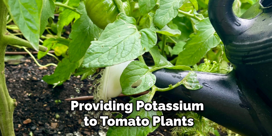 Providing Potassium to Tomato Plants