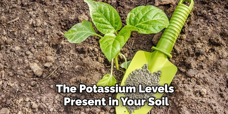 The Potassium Levels Present in Your Soil