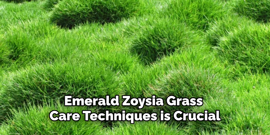 Emerald Zoysia Grass Care Techniques is Crucial