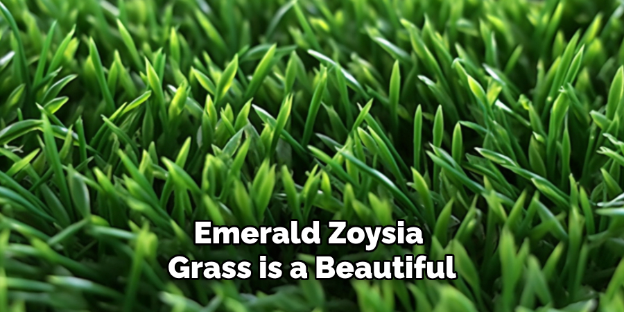 Emerald Zoysia Grass is a Beautiful