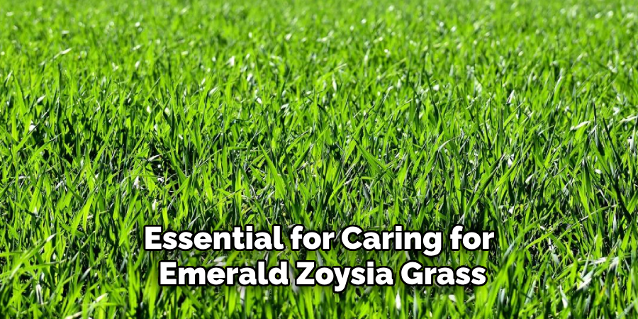 Essential for Caring for Emerald Zoysia Grass