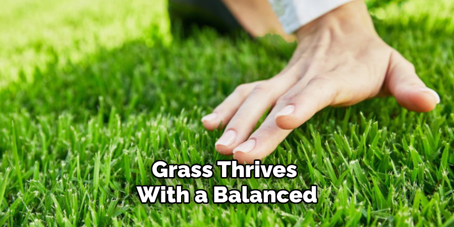 Grass Thrives With a Balanced