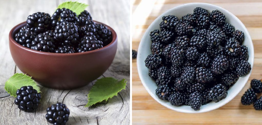 How to Deseed Blackberries