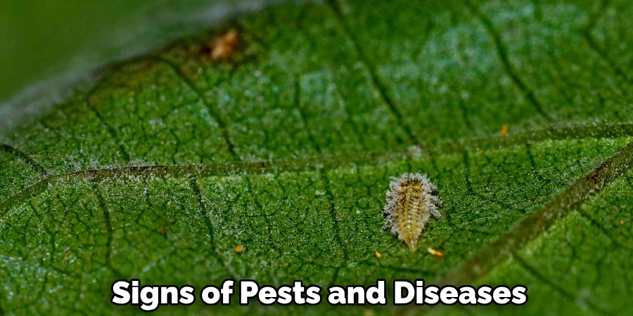 Signs of Pests and Diseases