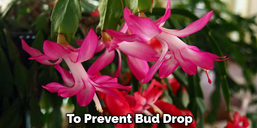 To Prevent Bud Drop