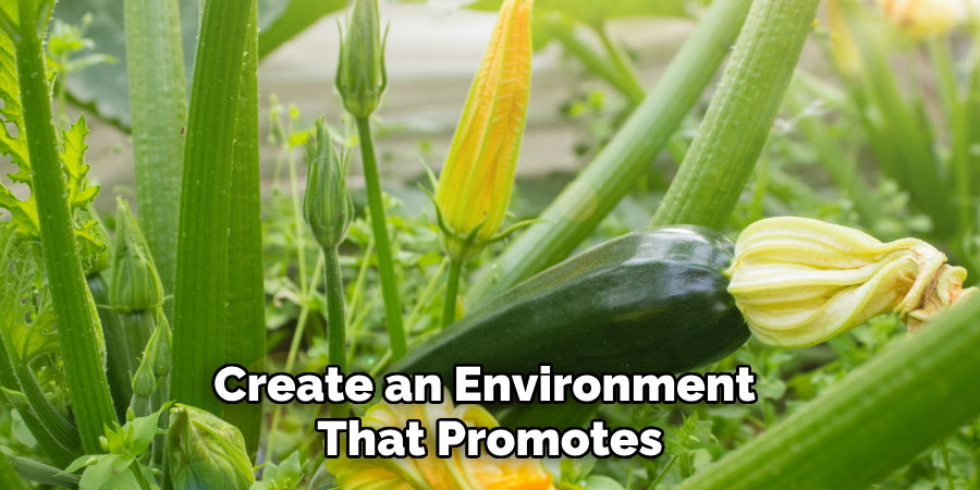 Create an Environment 
That Promotes