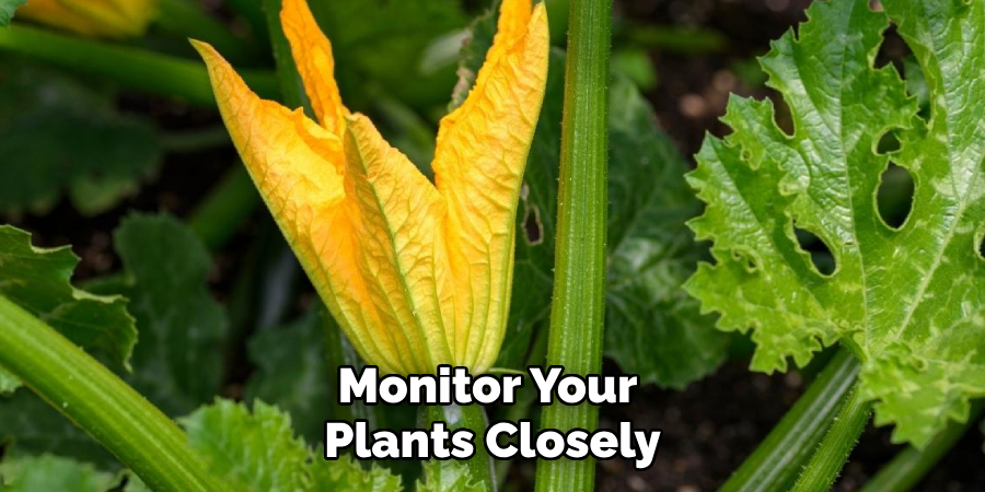 Monitor Your 
Plants Closely