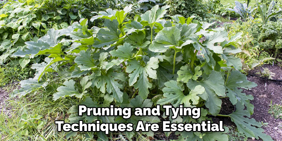 Pruning and Tying 
Techniques Are Essential 