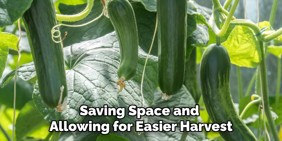 Saving Space and 
Allowing for Easier Harvest