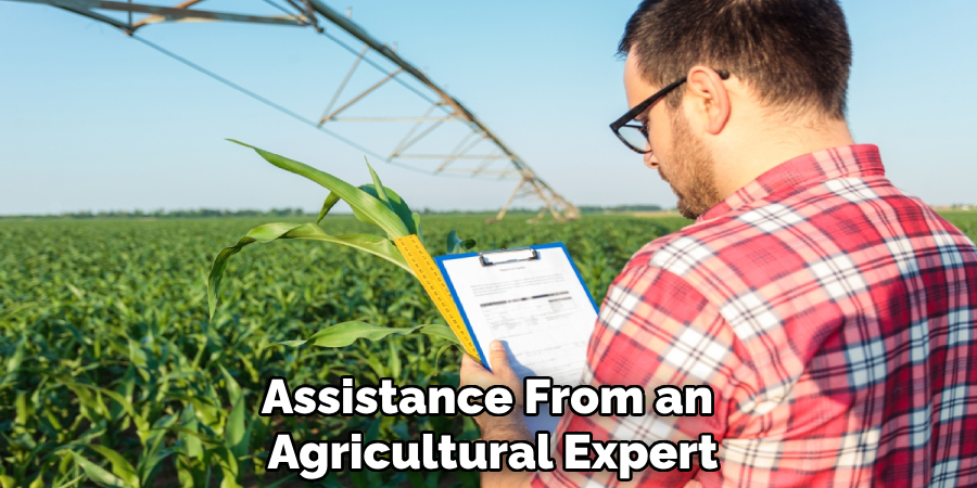 Assistance From an Agricultural Expert