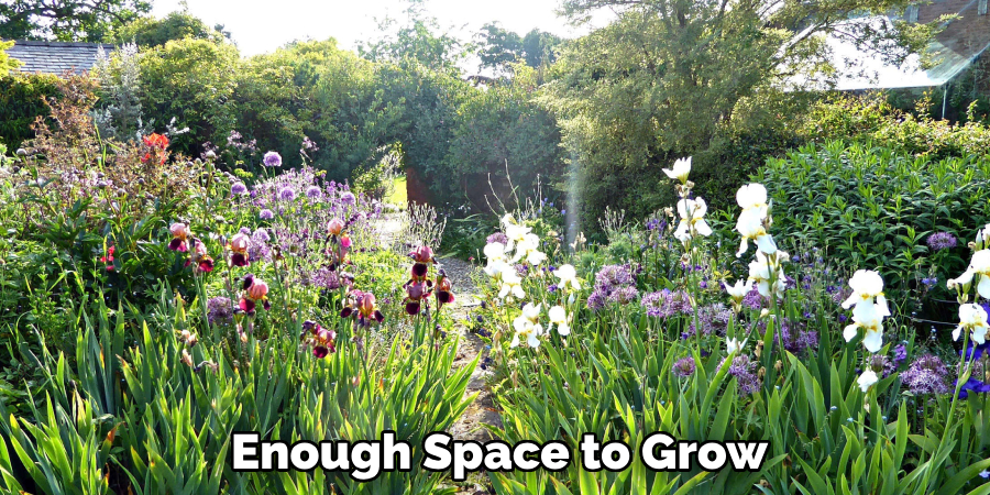 Enough Space to Grow