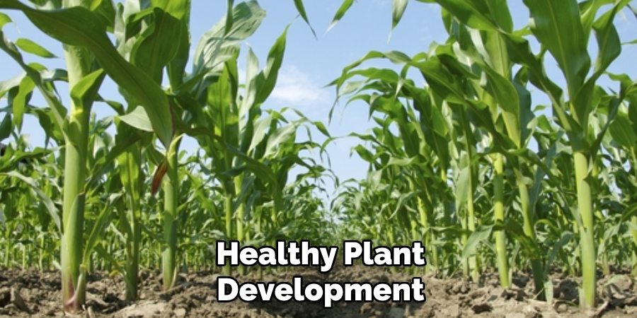 Healthy Plant 
Development 