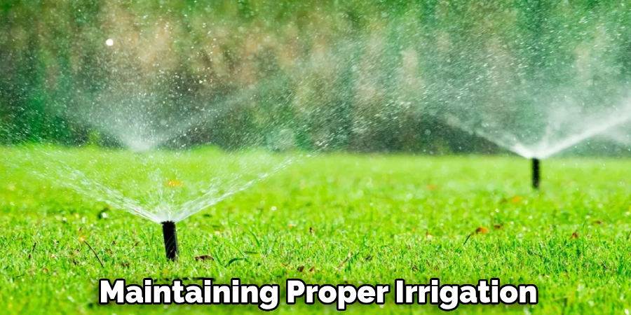 Maintaining Proper Irrigation