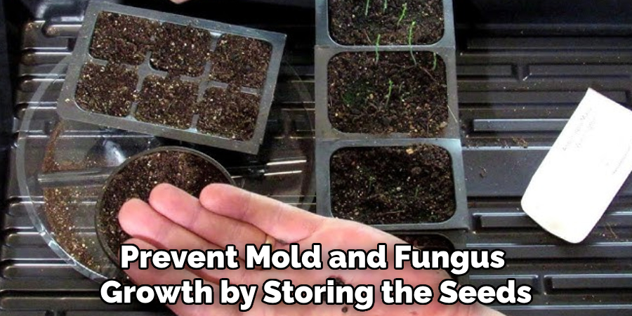 Prevent Mold and Fungus 
Growth by Storing the Seeds